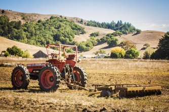 Nicasio, CA, USA